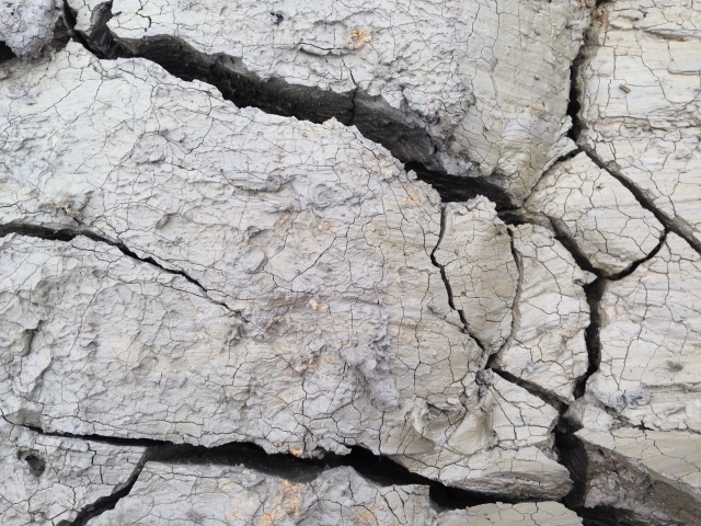 �q�r����